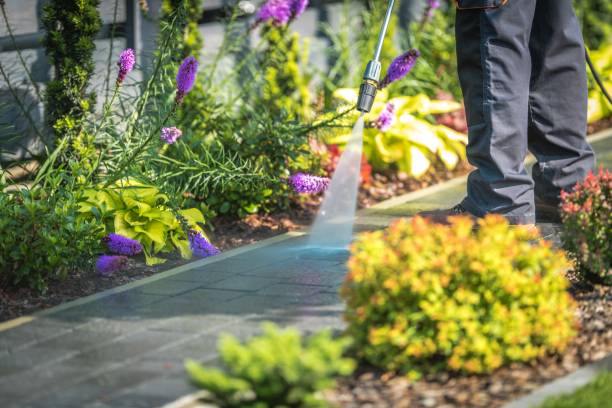 Professional Pressure Washing Services in Edenton, NC